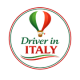 Logo Drive in Italy